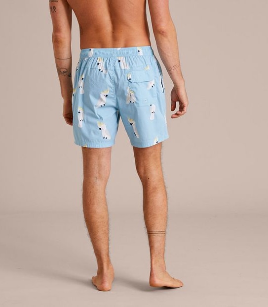 Volley Shorts