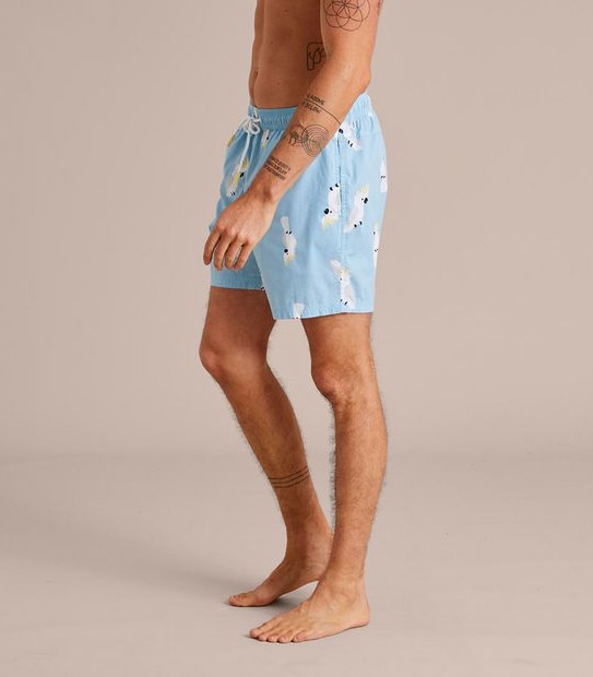 Volley Shorts