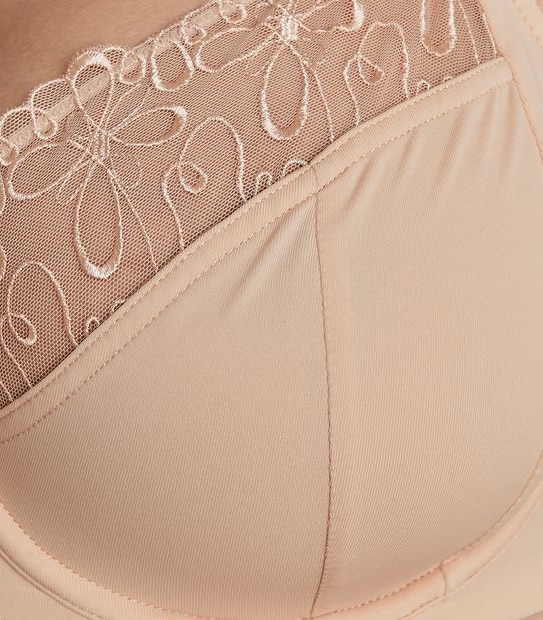 Fuller Figure Embroidered Bra; Style TLFBB090 Target