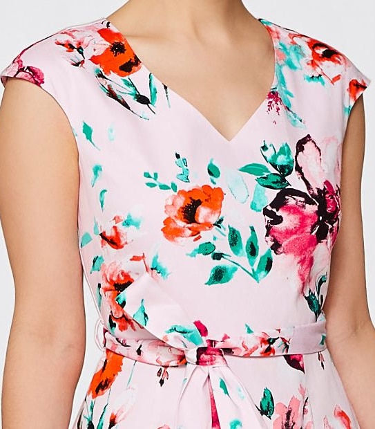 Fit & Flare Print Dress