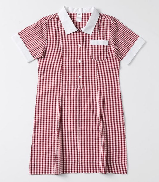 Gingham School Dress