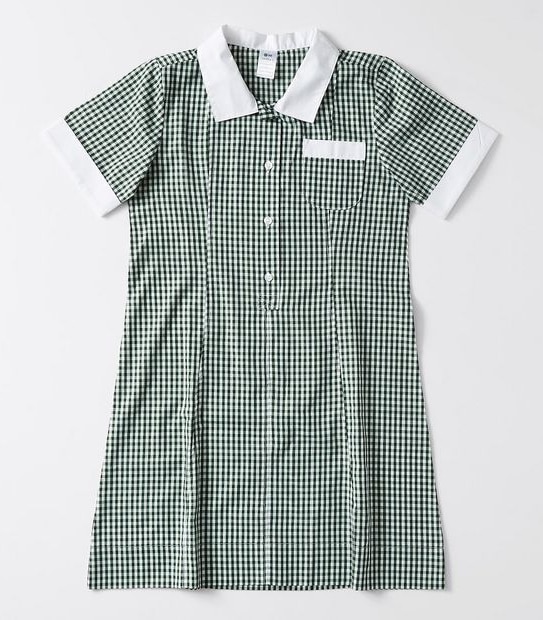 Gingham School Dress