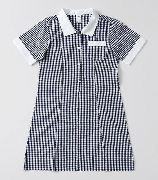 Gingham School Dress