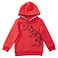 Red Dinosaur