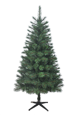 Green Spruce Green Spruce