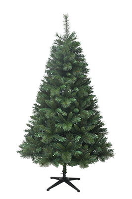 Noble Fir Noble Fir
