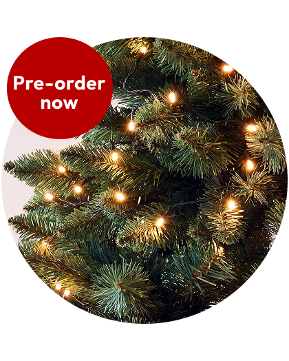 Christmas Trees