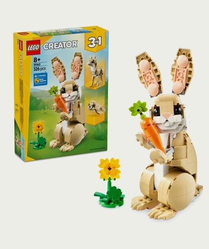 Craft & Toys