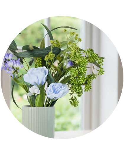 Pots & plants