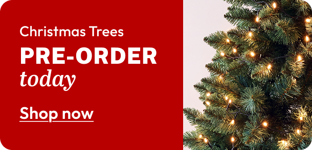 090926-180926-Christmas-PreOrder-MM-Web
