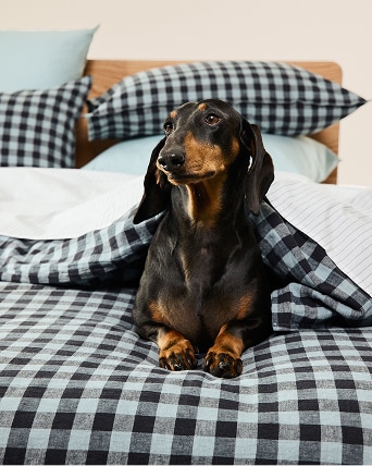 060325-HP-New-Arrivals-H-Quilt-Covers.jpg