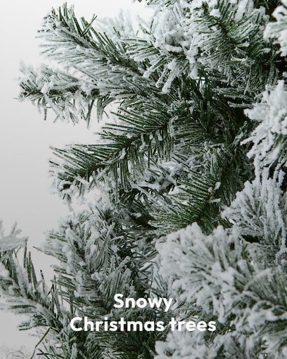 Snowy Christmas trees